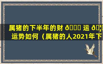 属猪的下半年的财 🐋 运 🦍 运势如何（属猪的人2021年下半年的财运如何）
